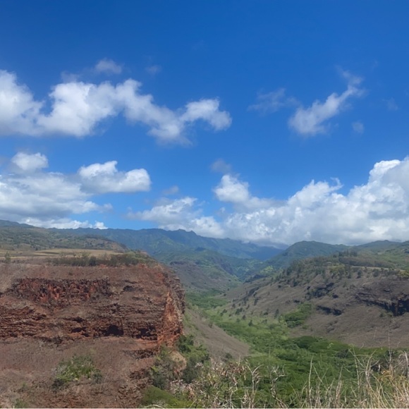 Meet your Posher, Alisa - Picture 1 of 1